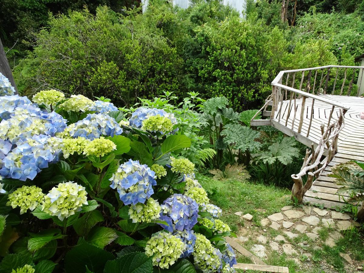 Cabanas Las Hortensias Hotel Niebla Exterior foto